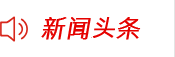 新聞?lì)^條